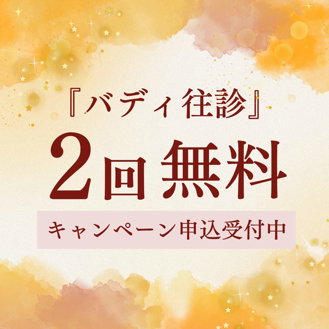 『バディ往診』2回無料キャンペーン申込受付中